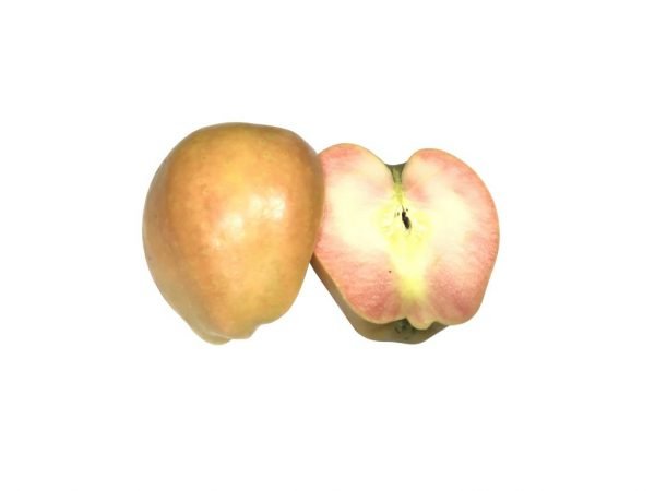 Kissabel Apples