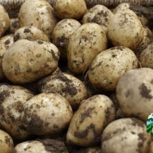 Potatoes Navan