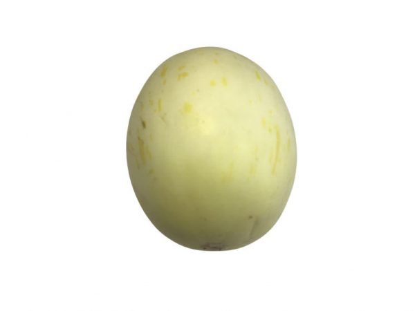 Snowball Melon (Lrg)