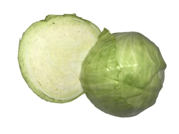 Primo Cabbage